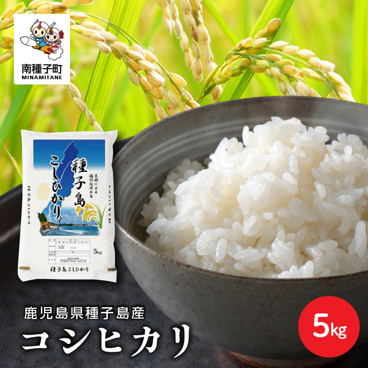 【先行予約】《令和8年産米 新米》 【8月上旬より順次発送予定】種子島産コシヒカリ5kg 【新栄物産】