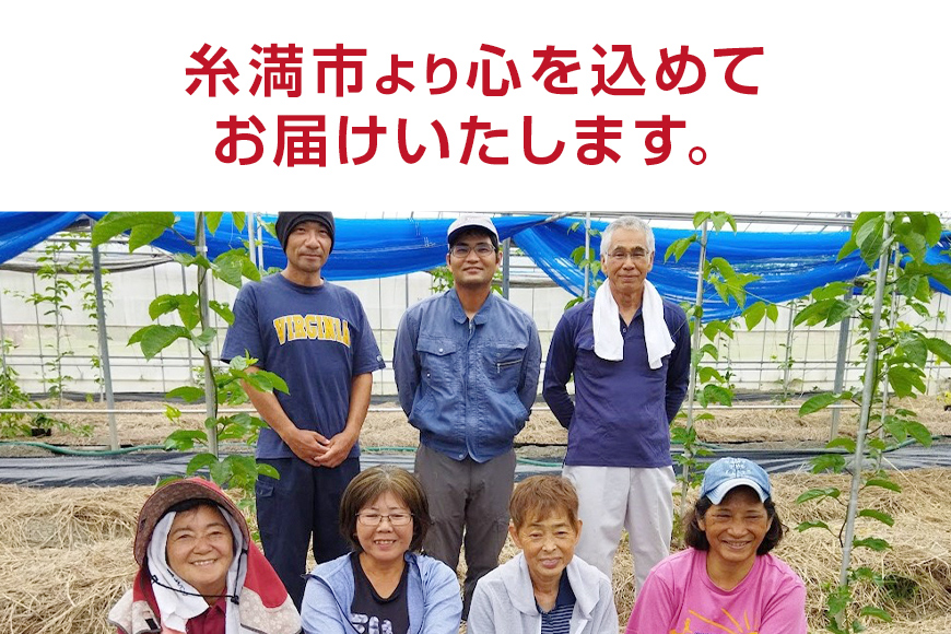 【2025年発送】糸満産　糸ちゃんパッションフルーツ＜訳あり／3kg＞ 104-1
