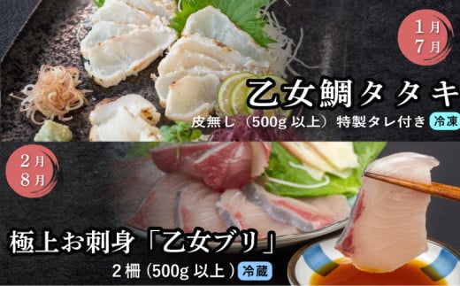 刺身 定期便 6ヶ月 小島水産 がお届けする！ 美味しい お刺身 大容量 コース ( 鮮魚 下処理済 )  産地直送 半年 新鮮 鮮魚 ( 6回 お楽しみ 定期便 お刺身 かつお タタキ カツオ 鰹 