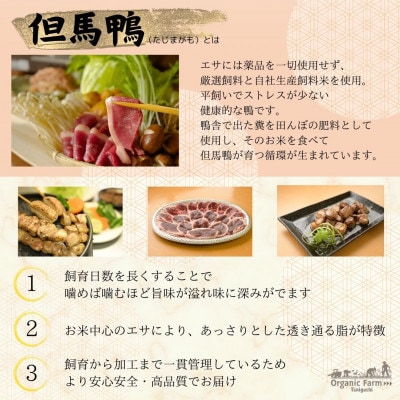 【毎月定期便】但馬鴨お楽しみコース3～4人前(鴨鍋　焼肉　しゃぶしゃぶ)全3回【配送不可地域：離島】