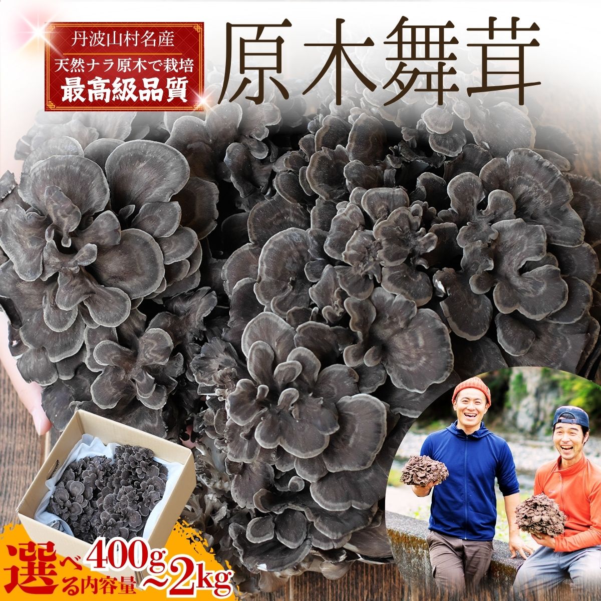【ふるさと納税】【先行予約 選べる容量 季節限定】 舞茸 原木 マイタケ 高級 丹波山村産 400g 1kg 2kg｜香り高く肉厚な希少舞茸｜原木栽培 秋限定 産地直送 原木舞茸 丹波山村産 / 丹波山名産 希少 無農薬 無添加 舞茸 まいたけ マイタケ 原木栽培 きのこ キノコ 産地直送