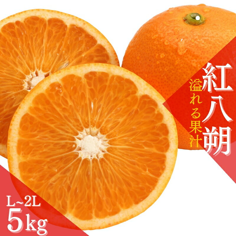 【ふるさと納税】先行予約！希少な紅はっさく 12～18個入り（L～2Lサイズ）【2025年1月初旬頃から発送】【KG9】 | はっさく フルーツ 果物 くだもの 食品 人気 おすすめ 送料無料