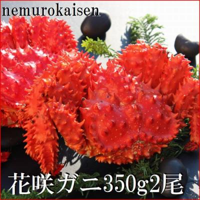 ふるさと納税 根室市 ＜12/21まで年内配送＞★花咲ガニ350g×2尾 B-57028