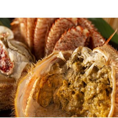 ふるさと納税 網走市 【網走産】毛がに660g前後×2杯 |  | 02