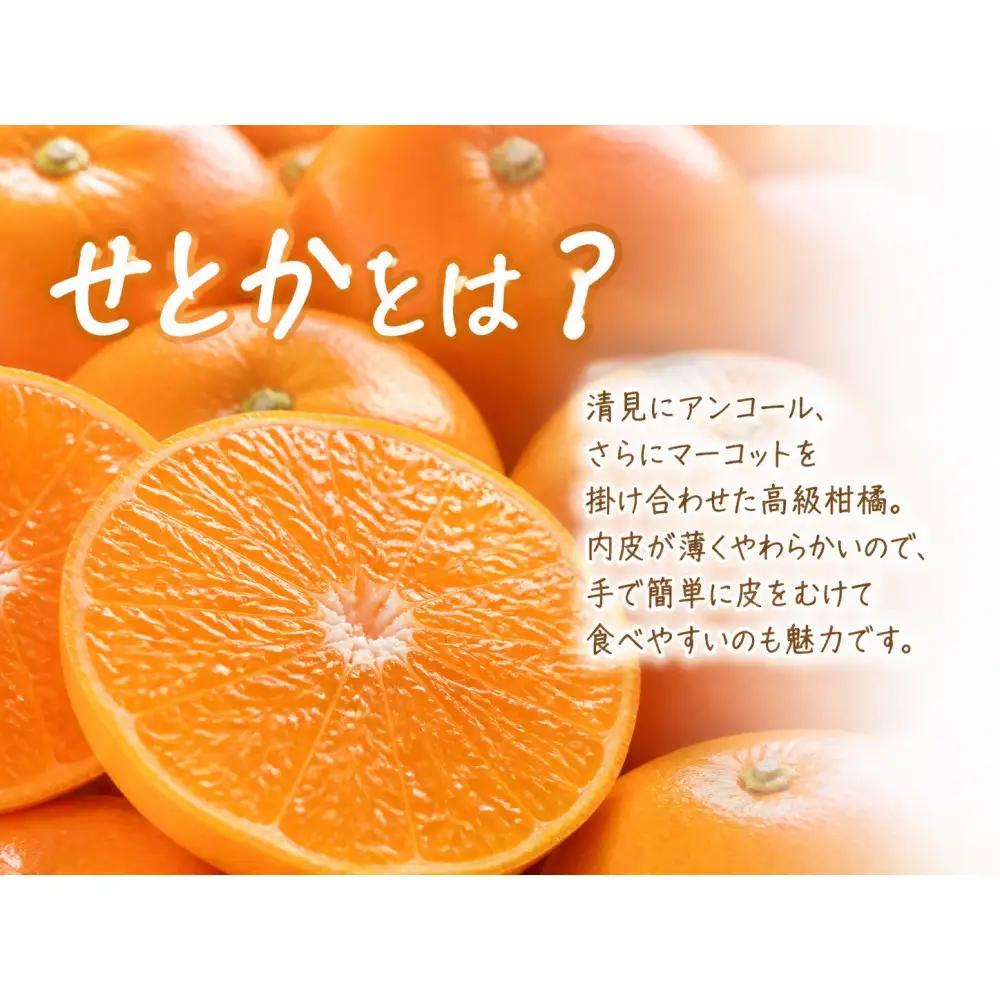 紀州有田産せとか約3kg　とろける食感！ジューシー柑橘［2027年3月上旬以降発送］［先行予約］［UT03］