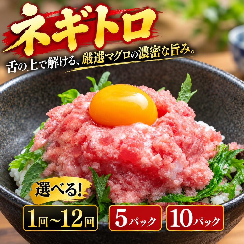 【ふるさと納税】 まぐろのネギトロ 5パック 10パック 70g パック 選べる 定期便 1回 2回 3回 4回 6回 12回 ねぎとろ どんぶり マグロ丼 ネギトロ丼 海鮮丼 手巻き寿司 マグロ まぐろのたたき 一人暮らし 小分け パック 赤身 新鮮 海鮮 魚介 便利 カネアリ水産 安芸市 高知県