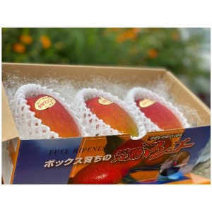 大阪府産小川農園の《贈答用》完熟マンゴー〈2～3個入〉約1kg【R7年7月中旬発送開始】【配送不可地域：離島】【1229124】