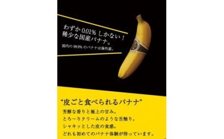 国産バナナNEXT716 「12本」　レギュラーサイズ【国産 バナナ 無農薬 フルーツ 果物 デザート 朝食 スムージー バナナ】