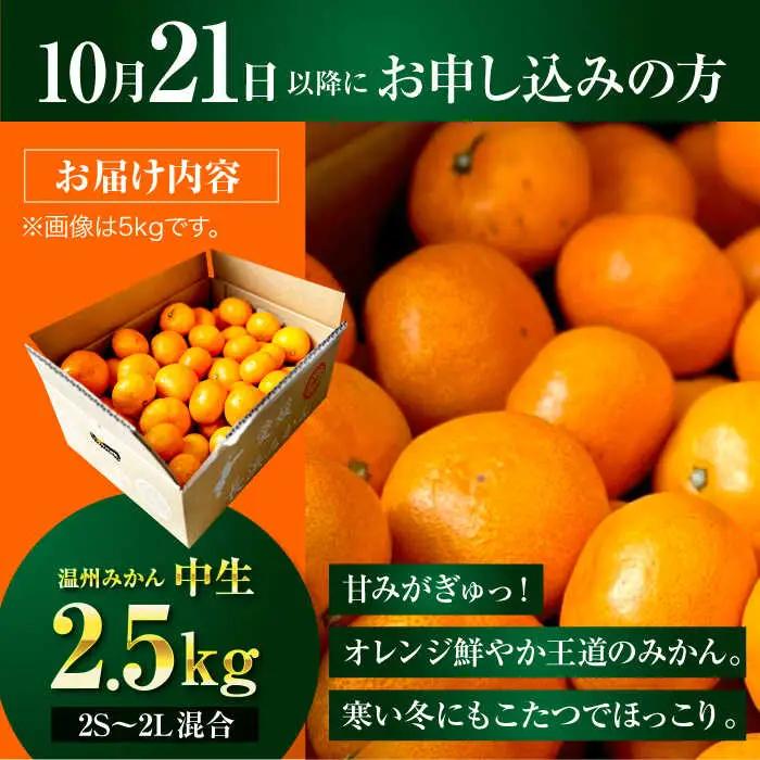 みかん【先行予約】みかん 2.5kg [AGBC004]