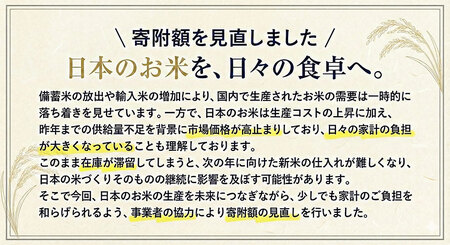 米10kg白米2回定期便《申込月の翌月から出荷開始》おこめ