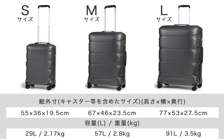 [Proevo]  13001-3 Lite Frex 超軽量ファスナーキャリーS AY382 スーツケース 超軽量 LCC キャリーケース キャリーバッグ 耐衝撃 小型 薄型 機内持ち込み 静音 ダ