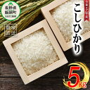 【ふるさと納税】 米 こしひかり 5kg ( 令和5年産 ) 沖縄県への配送不可 米澤商店 長野県 飯綱町 【 コシヒカリ 白米 精米 お米 信州 】発送時期：2023年11月上旬～ [お届け1回 (**)]