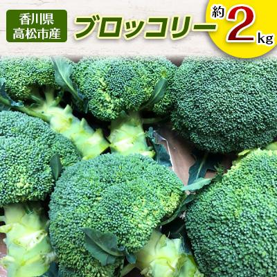 ふるさと納税 高松市 【2026年11月〜2027年5月発送】ブロッコリー　約2kg