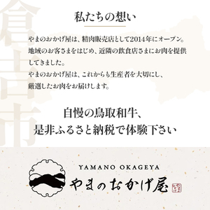 鳥取和牛 『ヒレ＆ランプ』柔らかステーキ 食べ比べ 300g（各150g） 牛肉 国産 黒毛和牛