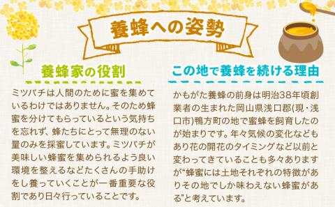 はちみつ 蜂蜜 百花 600g×2本 かもがた養蜂 《30日以内に出荷予定(土日祝除く)》 岡山 ハチミツ 百花蜜 百花はちみつ 岡山県産---124_358_30d_23_18000_2---