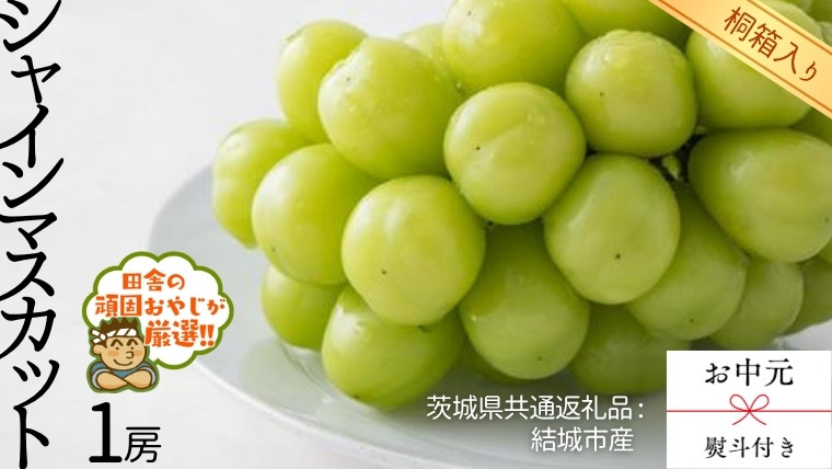 
            【 お中元 熨斗 付 】【 桐箱入り 】シャインマスカット1房  【2025年8月より発送開始】（茨城県共通返礼品 [ぶどう]：結城市産） シャインマスカット ぶどう 果物 フルーツ 季節 旬
          
