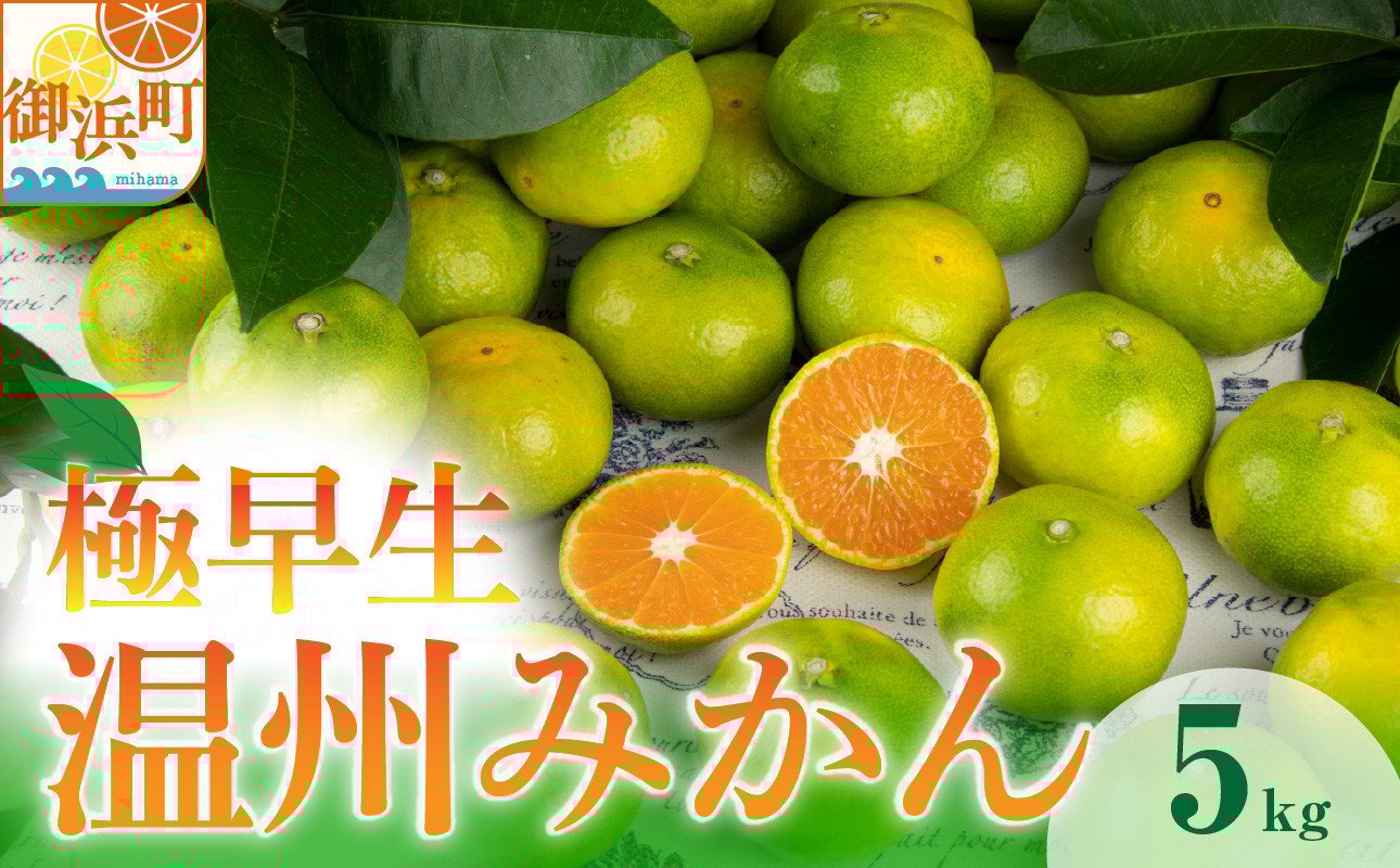 
            JAの南紀みかん極早生5キロ【期間限定 数量限定 果物 フルーツ みかん デザート 極早生 温州 5kg 三重県 御浜町】
          