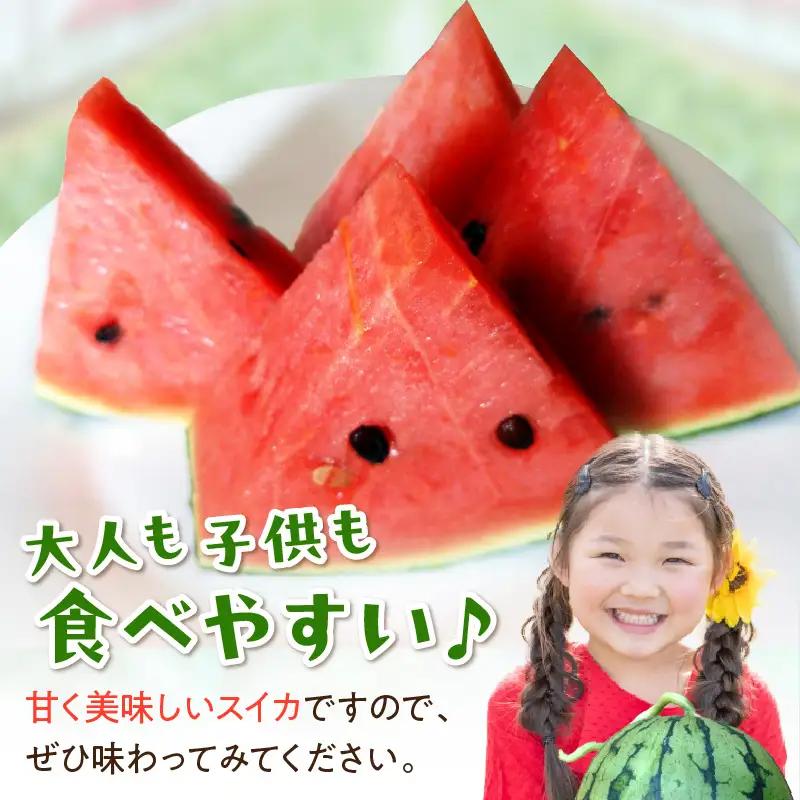  【先行予約／訳あり】にしまるスイカ 1玉 露地栽培 小玉スイカ フルーツ 26年7月～