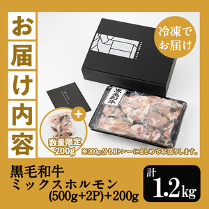 黒毛和牛ミックスホルモン1000g(500g×2P) 国産 鹿児島県産 和牛 ミックス ホルモン 焼肉 小分け【A-1544H】