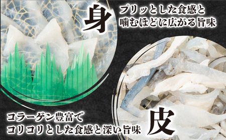 【とらふぐ刺身】 2人前 冷凍 ふぐ FG