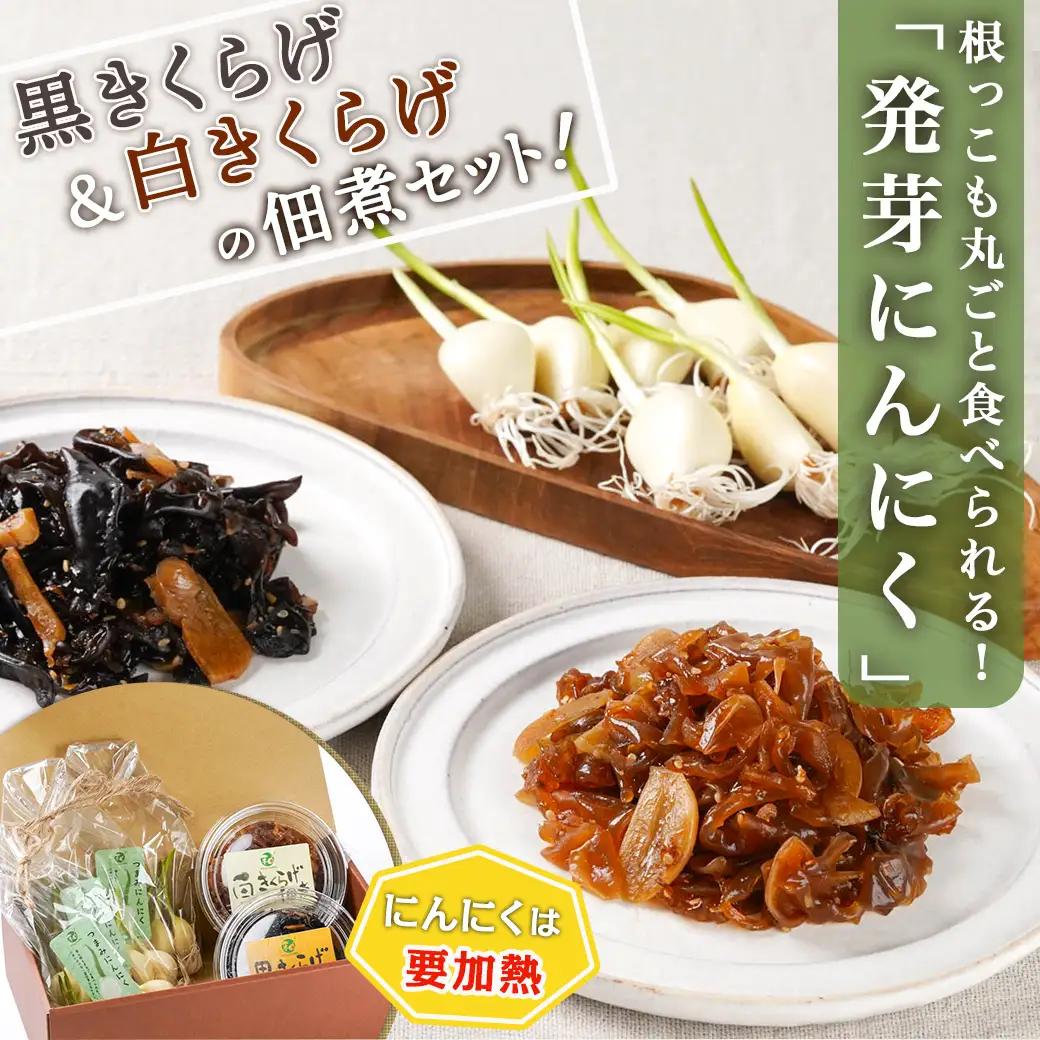 きくらげの佃煮とつまみにんにくのセット〔AA-C903〕_(都城市) 発芽にんにく 都城産 にんにく におい残りが少ない 白きくらげ 黒きくらげ 佃煮 冷蔵配送