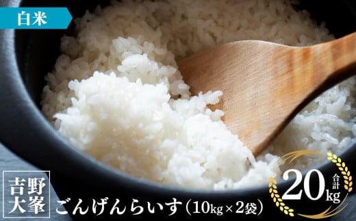 【新米予約】ひのひかり 吉野大峯ごんげんらいす10㎏×2袋｜白米 米 精米 ヒノヒカリ ごはん 奈良県産 吉野町 令和6年 新米 先行予約 令和6年産