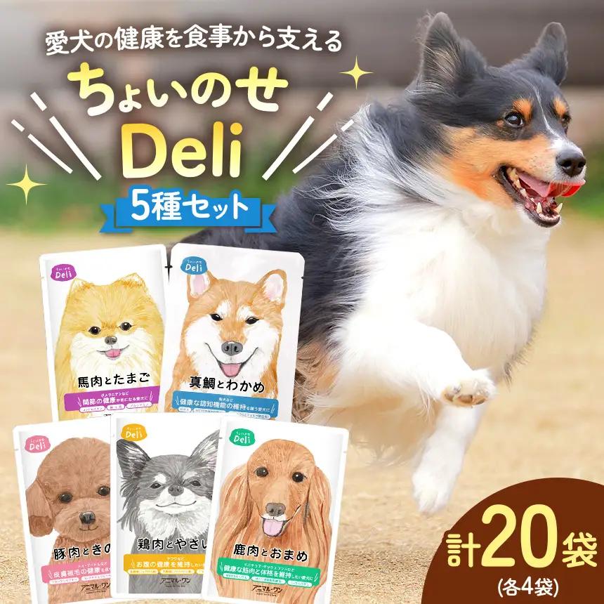 ちょいのせDeli 5種 × 各4袋 セット | ペット 愛犬 犬 ウェットフード 国産 ドッグフード 熊本県 玉名市