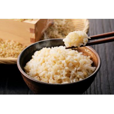 ふるさと納税 宮城県 【令和7年産新米先行予約】めぐりん米(玄米)5kg |  | 01