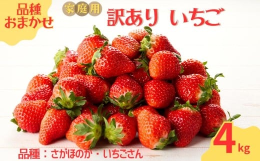 ★予約受付★平川いちご農園【2026年1月～5月 順次配送】玄海町産いちご（家庭用・訳あり）4kg ／ 送料無料 いちご さがほのか いちごさん 希少 果物 くだもの フルーツ デザート 予約受付