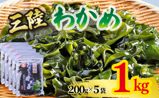 おさしみわかめ 1kg 200g×5袋 湯通し塩蔵わかめ 海鮮 海藻 魚貝類 魚介類 小分け 刺身 刺し身 さしみ おさしみ みそ汁 スープ 酢の物 三陸産 岩手県 大船渡市