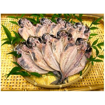 ふるさと納税 南伊豆町 湯の花　アジの干物10枚セット |  | 01