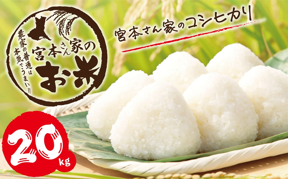 
                  新米【令和8年産】茨城県稲敷市産 宮本さん家のこしひかり 20kg(10kg×2袋)｜米 おこめ コシヒカリ 精米 農家直送 直送 茨城県 [2391]
                