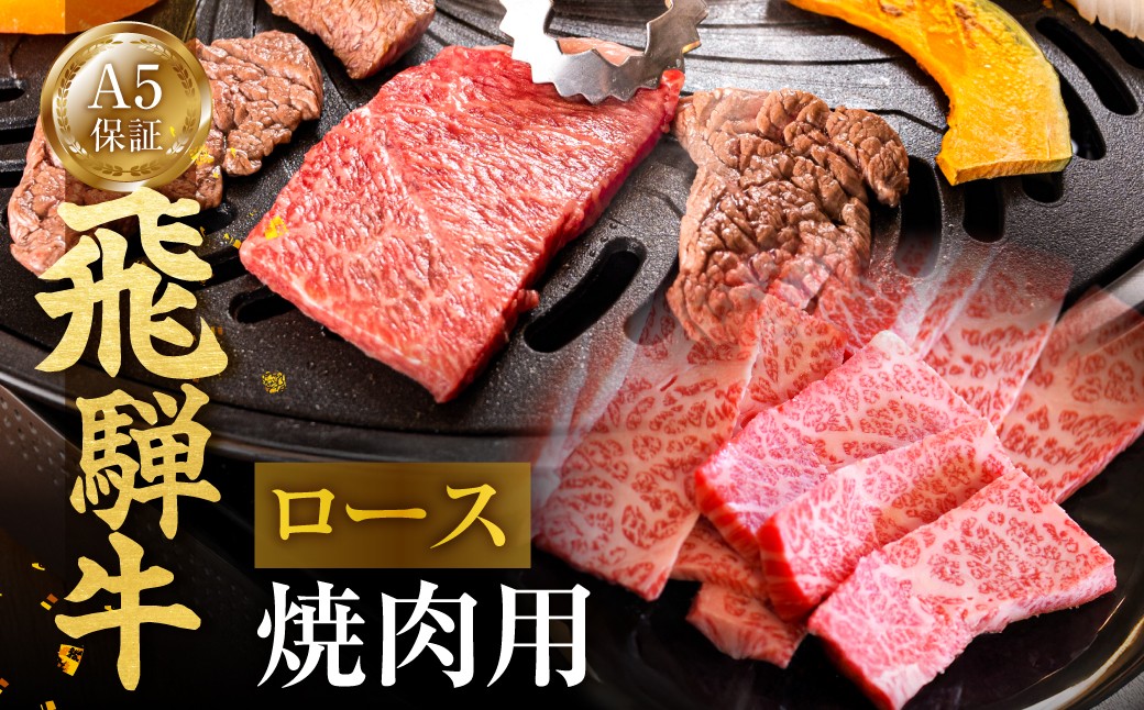 
                  ≪A5等級≫ 飛騨牛 ロース 焼肉用 300g 牛肉 肉 国産牛 国産牛肉 お肉 ブランド牛 飛騨牛 黒毛和牛 和牛 飛騨牛 焼肉 牛肉 ブランド和牛 牛肉セット 飛騨牛 焼肉 牛肉 焼肉 やきにく 焼き肉 ロース肉 特上 ギフト 飛騨牛 焼肉 牛肉 贈答 飛騨牛 焼肉 牛肉 プレゼント 飛騨牛 焼肉 牛肉 高級 国産 A5 霜降り 飛騨牛 焼肉 牛肉 岐阜県 郡上市 飛騨牛 牛肉 和牛 すき焼き
                