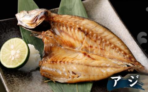 【ふるさと納税】【訳あり】地魚干物セット 約1.5kg お楽しみ 干物 おかず おつまみ 魚 魚介類 惣菜 傷あり ご家庭用 冷凍 10000円 1万円 送料無料 nk031