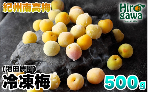 
            冷凍 梅 500g 家庭用 / 南高梅 訳あり 黄梅 完熟梅 梅ジュース 梅酒 和歌山 ※7月上旬より翌年3月末まで順次発送 ※北海道・沖縄・離島への配送不可 【ikd510-c-0d5A】
          