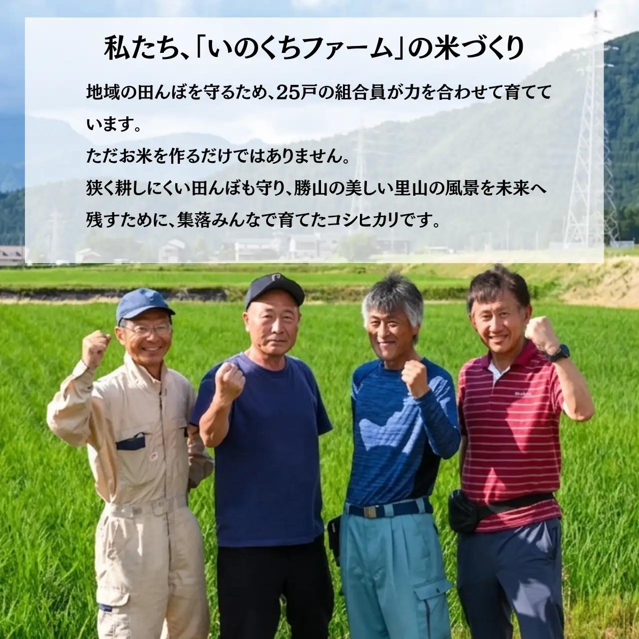 米 コシヒカリ 精米 5kg 令和8年産 先行予約 [A-103001]
