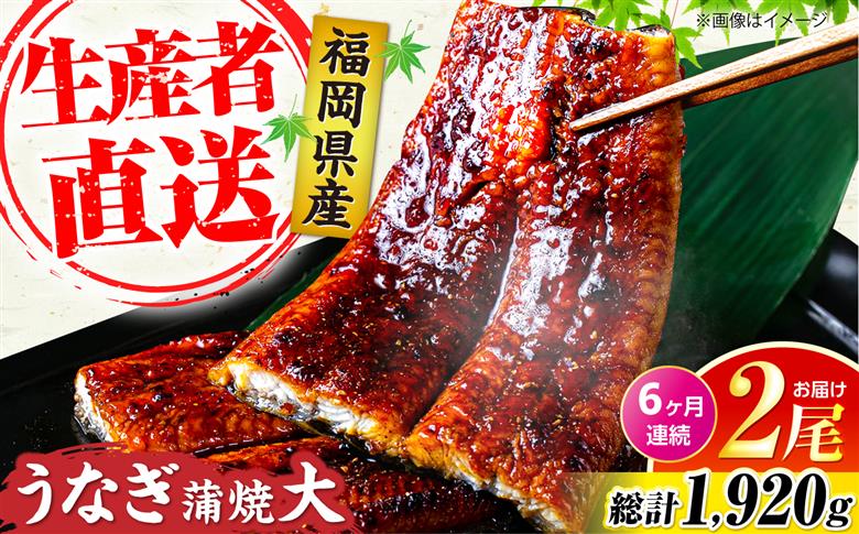【全6回定期便】福岡県産 うなぎ 蒲焼 大2尾　合計 320 g（1尾あたり 160g以上）《豊前市》【福岡養鰻】 国産 うなぎ 大 [VAD012]