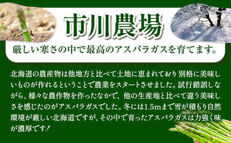 [1.5-69]　【令和6年発送先行受付】市川農場とれたて極太グリーンアスパラ1kg