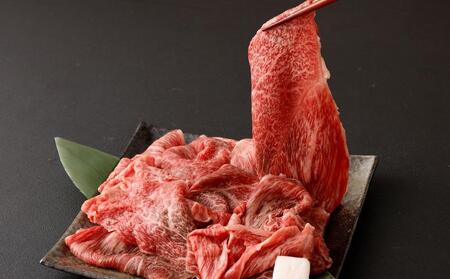 【京都モリタ屋】京の逸品！京都肉 切落とし 500g