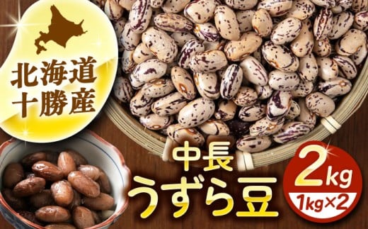 北海道 あしょろの中長うずら豆 1kg×2袋《足寄町》【党崎農場】中長鶉 中長うずら豆 うずら豆 インゲン豆 北海道産 [BEAA022]