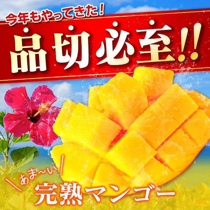 先行予約 ＜訳あり＞ 完熟マンゴー 宮崎県産 3Lサイズ 2玉 フルーツ 果物【B616-26】