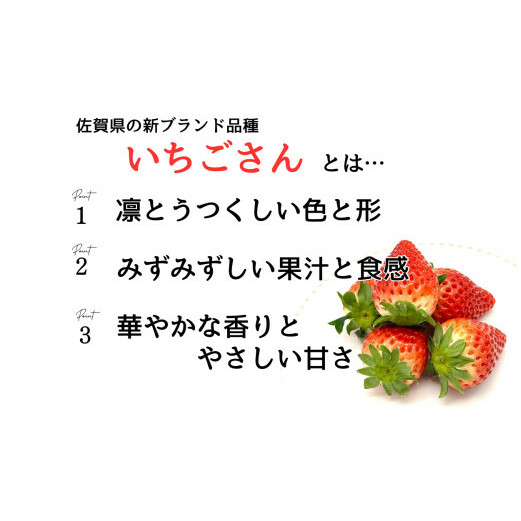 ＜予約受付＞【3回定期便】有田いちご 朝摘み完熟いちご4パックを毎月お届け！ (1月～3月の全3回) 240g×4パック【みゆきファーム】有機肥料にこだわった美味しいいちごです いちごさん F35-1