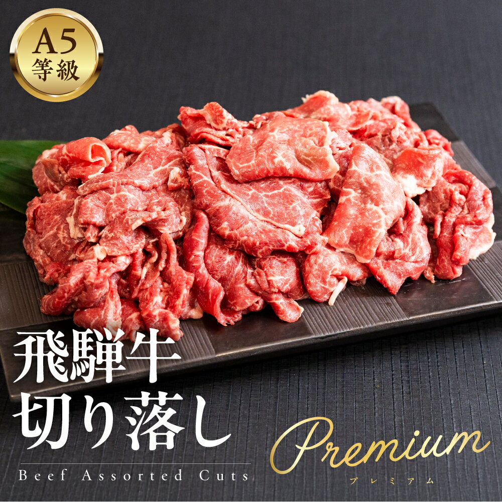 【ふるさと納税】 A5等級 飛騨牛 切り落し メス牛 雌牛 1kg /500g　牛肉 和牛 国産 お取り寄せ 人気 訳あり 家庭用 お徳用 すき焼き 焼肉 肉じゃが 炒め物 冷凍 小分け　簡易包装