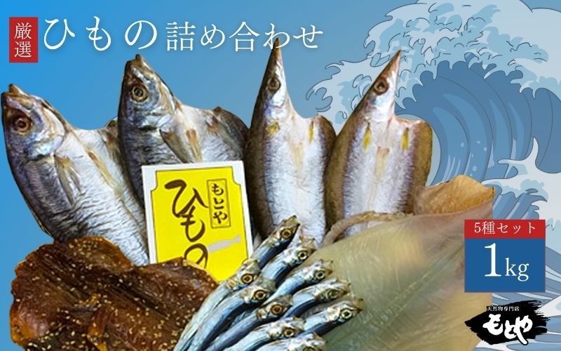 潮彩(ひもの詰合せ)5種類セット 1kg　mtya001A