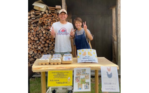 池田山麓たまご（平飼い有精卵）5パック（1パック6個入） 卵 セット 有精卵 岐阜県 池田町