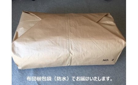 【浅井ふとん店】素朴なコットン敷布団＜抗菌・防ダニ＞/セミダブルロング・ブルー