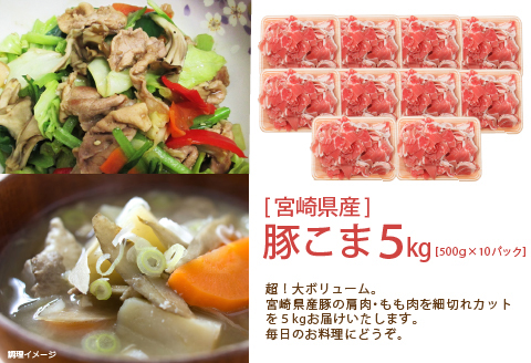 宮崎県産 豚こま 5kg |豚肉 豚 ぶた 肉 国産 豚こま 切り落とし 5kg 10パック セット