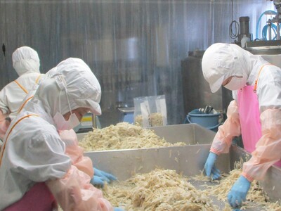 ＜【訳あり】冷凍野菜詰め合わせ（ホウレンソウ150g×5袋・ささがきごぼう100g×6袋）工場直送簡易包装 小分けパック11袋＞カット野菜 小分け 牛蒡 ゴボウ ホウレンソウ ほうれんそう ほうれん草