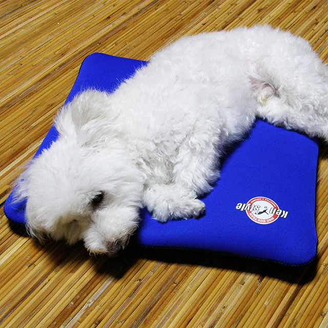 クロッツ わんちゃんパワークールM_2607R