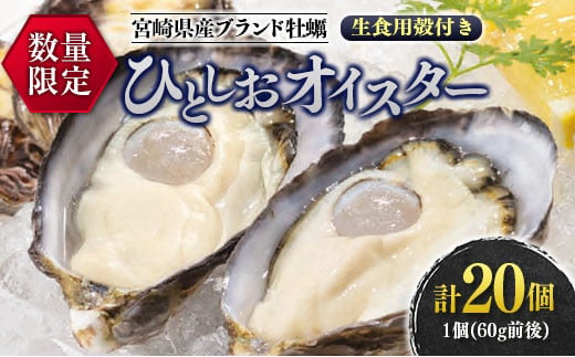 数量限定 宮崎県産 ブランド 牡蠣 ひとしおオイスター 計20個 魚介 魚貝 かき 生食用 殻付き 国産 おかず おつまみ 食品 海鮮 海産物 シーフード BBQ バーベキュー アウトドア グランピング 海の幸 養殖 絶品 贅沢 ご褒美 お取り寄せ グルメ 日南市 送料無料_CB81-23